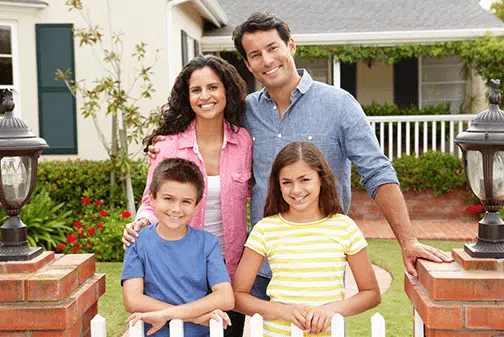 Expert Beetle Control in Hartford