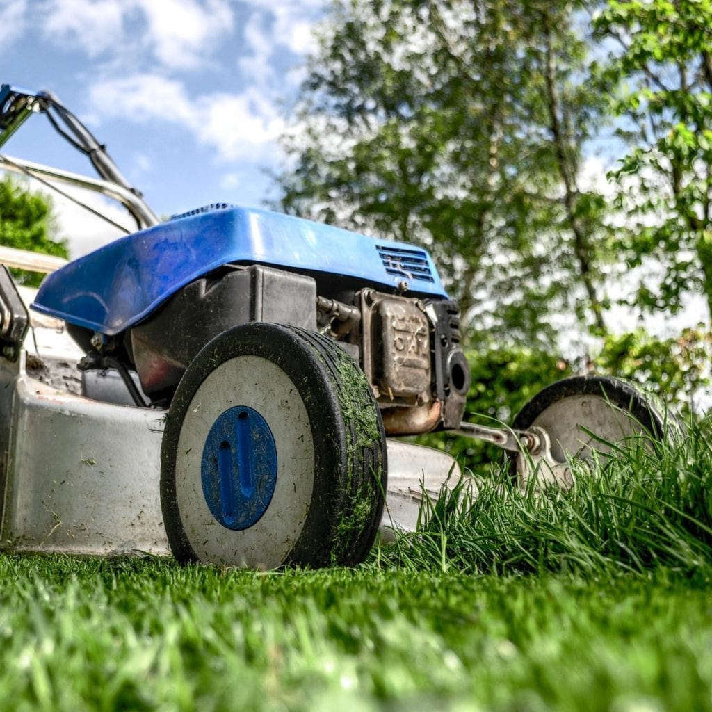 Lawnmower cutting grass