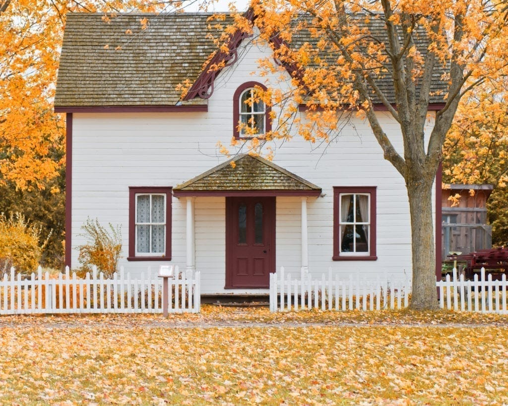 Protect your home from pest
