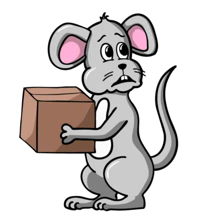 Rodent Maintenance
