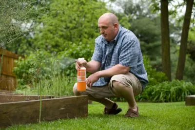 Pest Control Experts | Servicing Connecticut & Western Mass