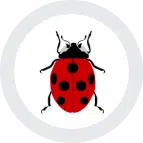 A geo-themed ladybug in a white circle.