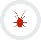 A red tick on a white background with a geometric shape.