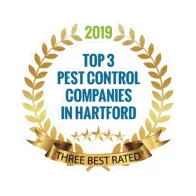 Top 3 geo-targeted pest control companies in Hartford.