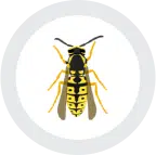A geometric representation of a yellow and black wasp.